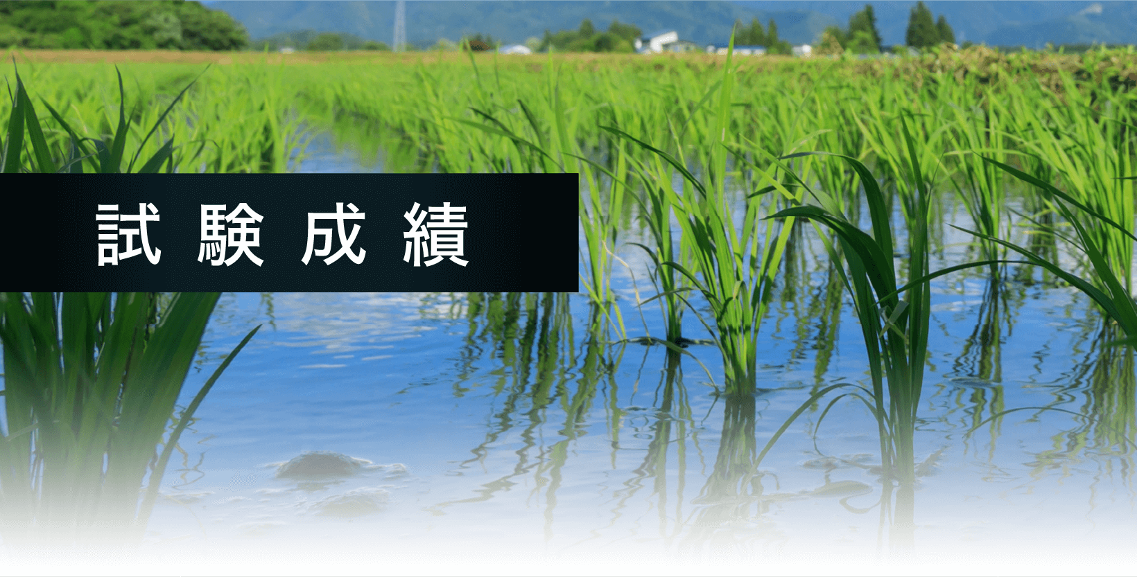 試験成績 ブーン
