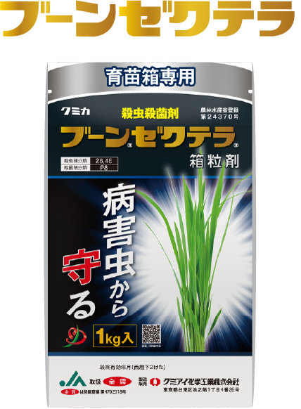 ブーンゼクテラ
