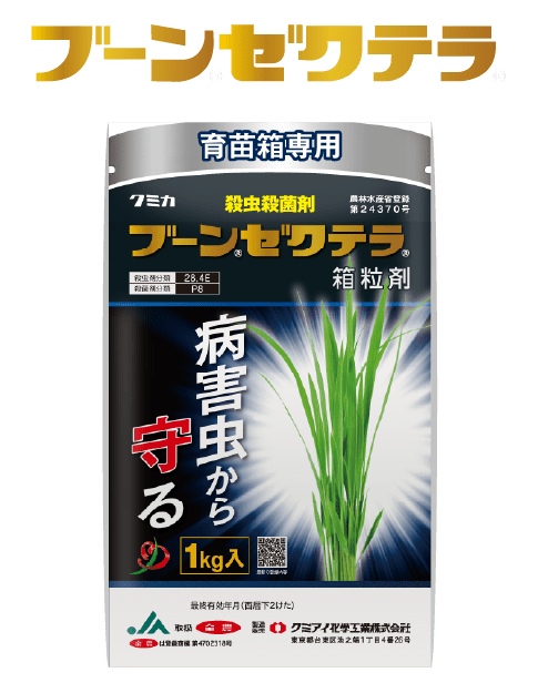 ブーンゼクテラ
