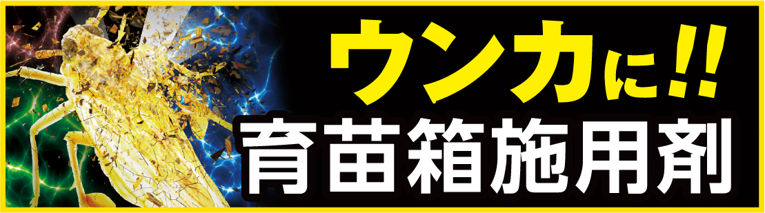 ウンカに育苗箱施用剤　ピラキサルト