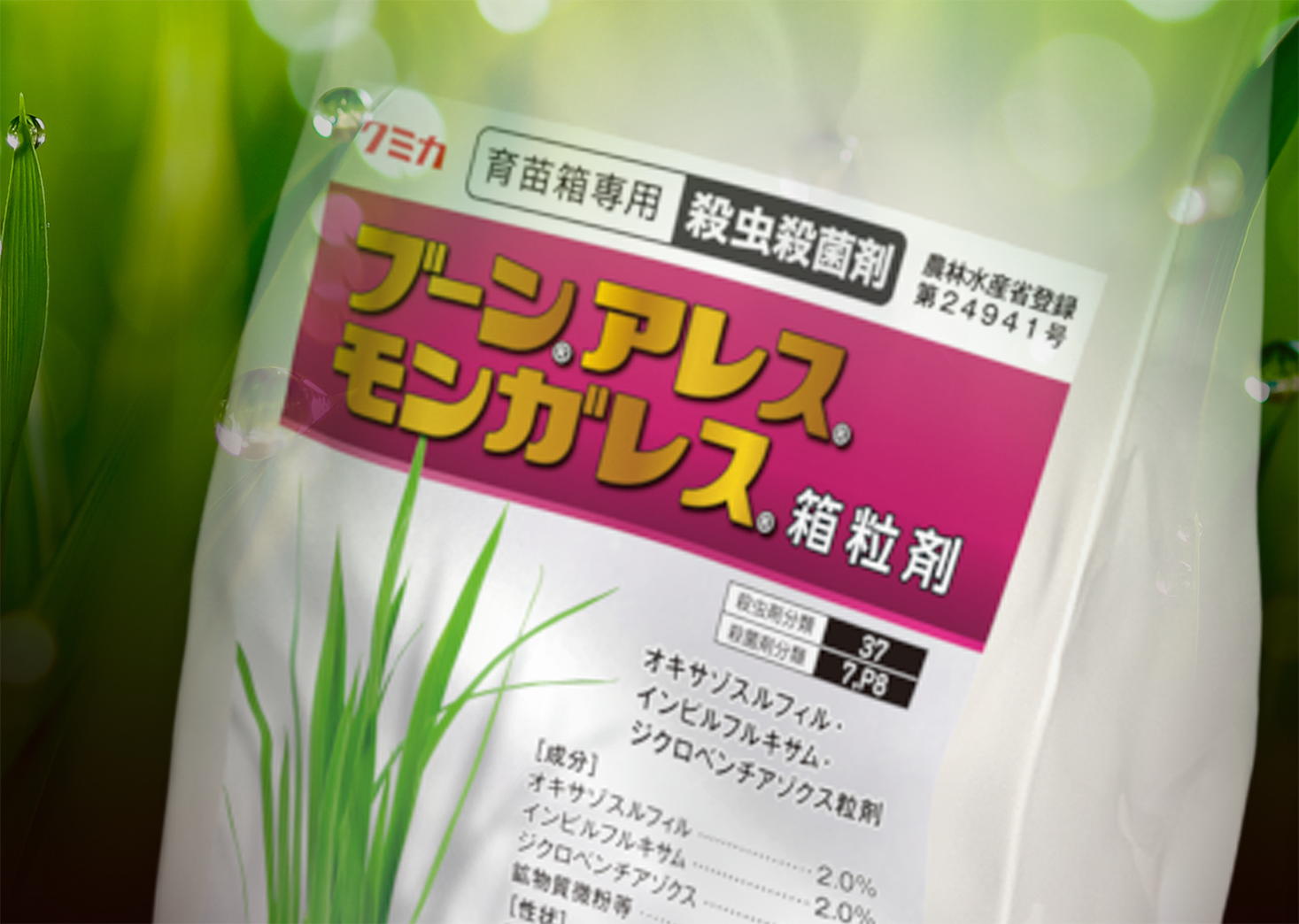 ブーンアレスモンガレス