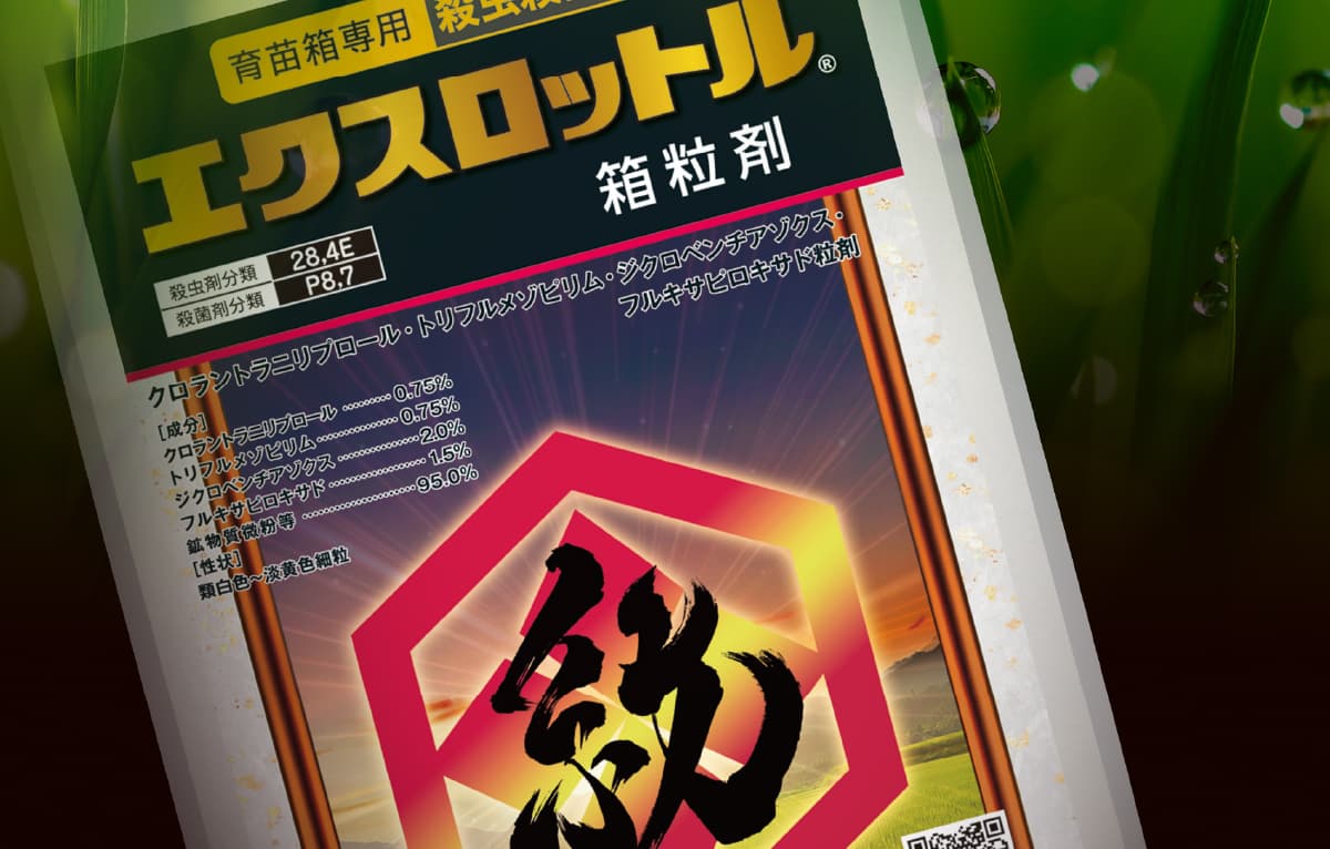 エクスロットル