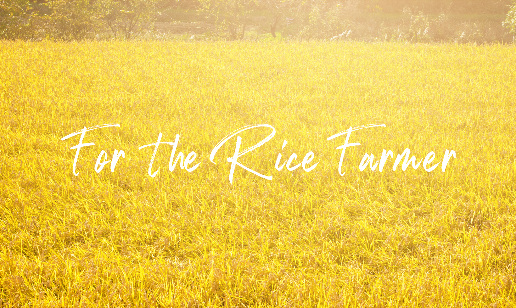 For the Rice Farmer