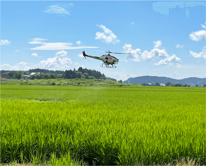 無人ヘリコプターやドローンによる茎葉散布剤散布