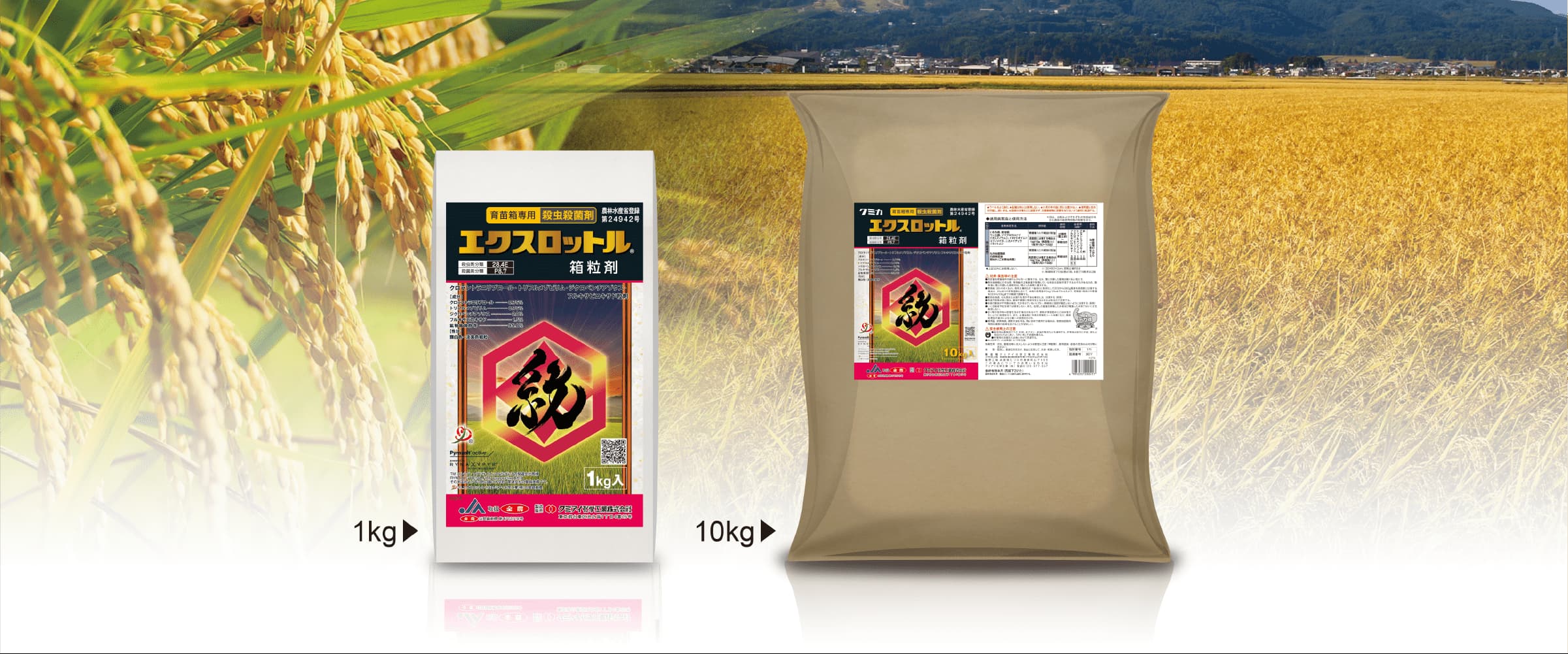 エクスロットル