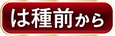 WCS※使用可