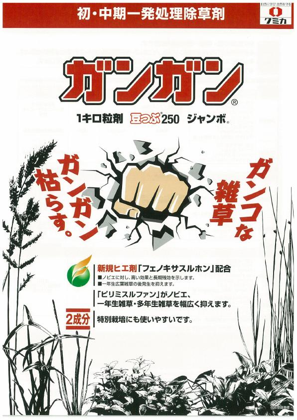 ガンガン3製剤チラシ　1450(17-9)