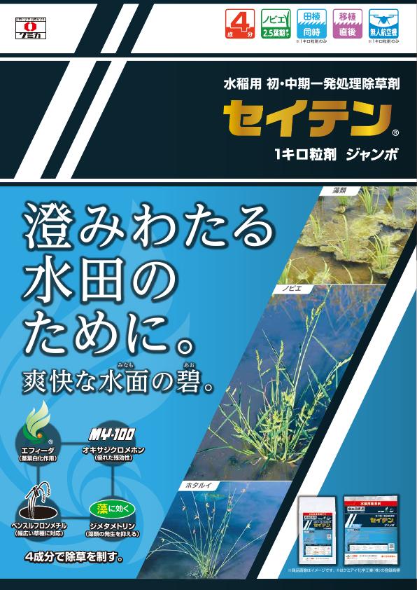 セイテン総合版チラシ　2404（24-7）