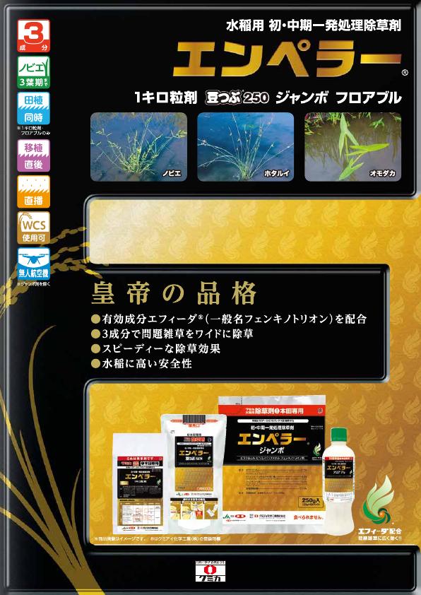 エンペラー４製剤版チラシ　2434（24-11）