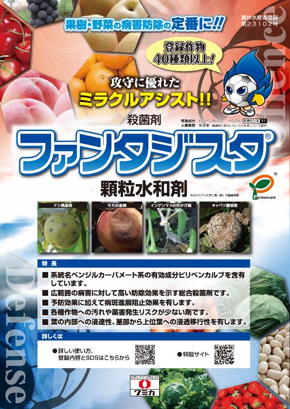 ファンタジスタ顆粒水和剤総合版チラシ　2489（25-4）