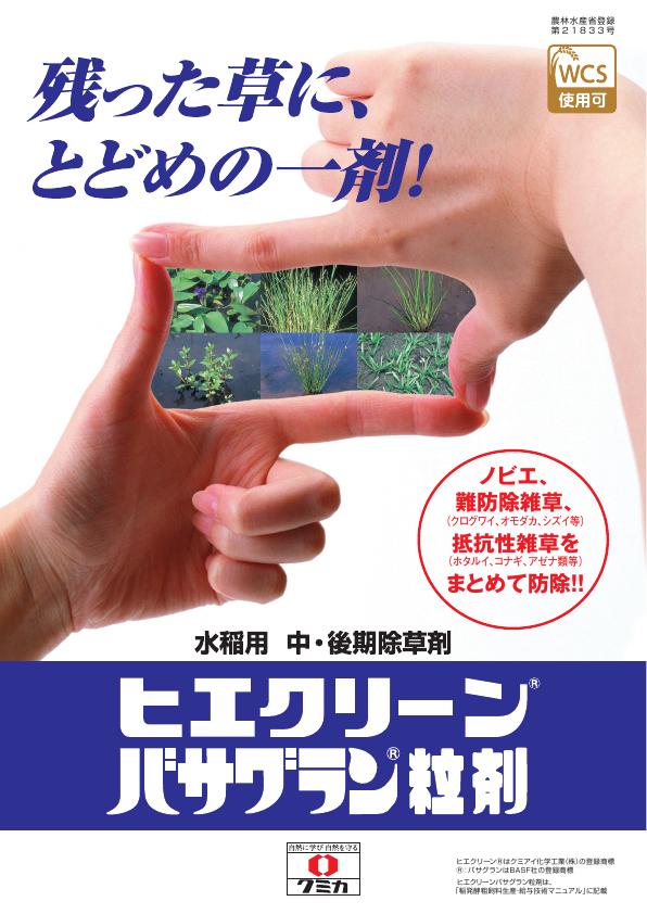 ヒエクリーンバサグラン粒剤チラシ　2499(25-5)