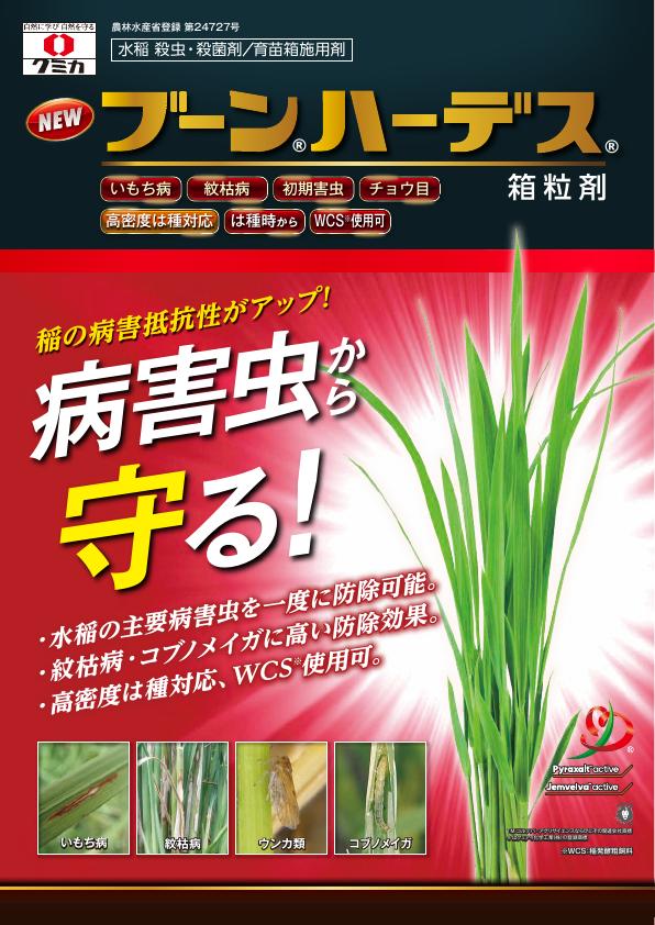 ブーンハーデス箱粒剤チラシ　2529（25-6）