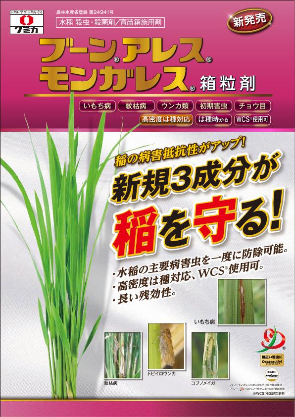 ブーンアレスモンガレス箱粒剤チラシ　2530（25-6）