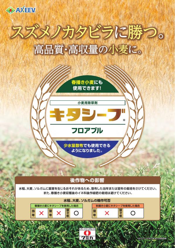 キタシーブフロアブルチラシ　2505（25-6）