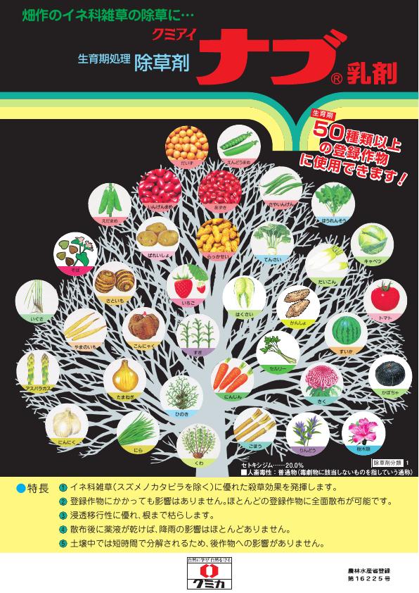 ナブ乳剤総合版チラシ　2533（25-6）