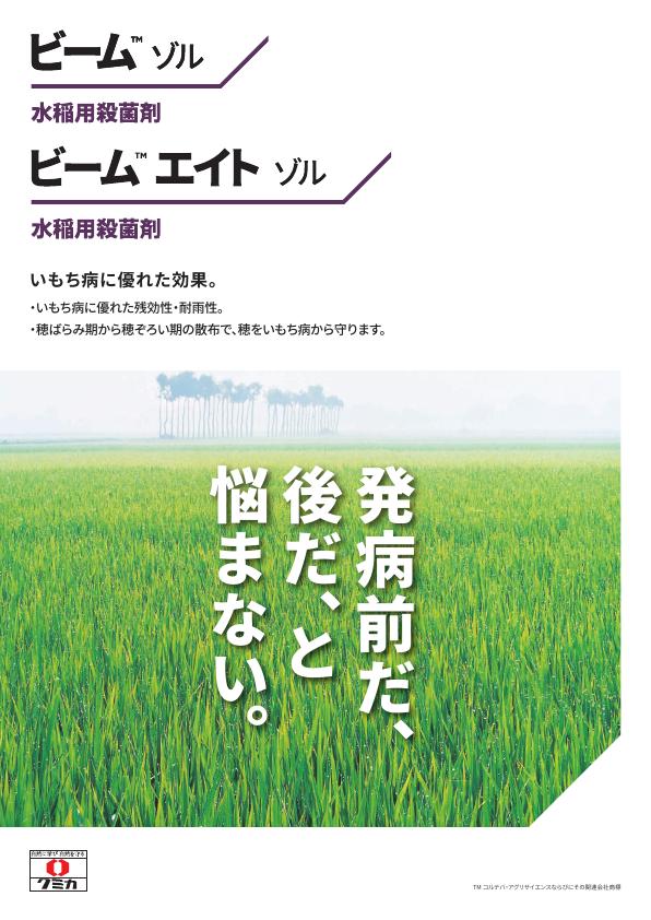 ビームゾル・ビームエイトゾルチラシ　2513（25-7）