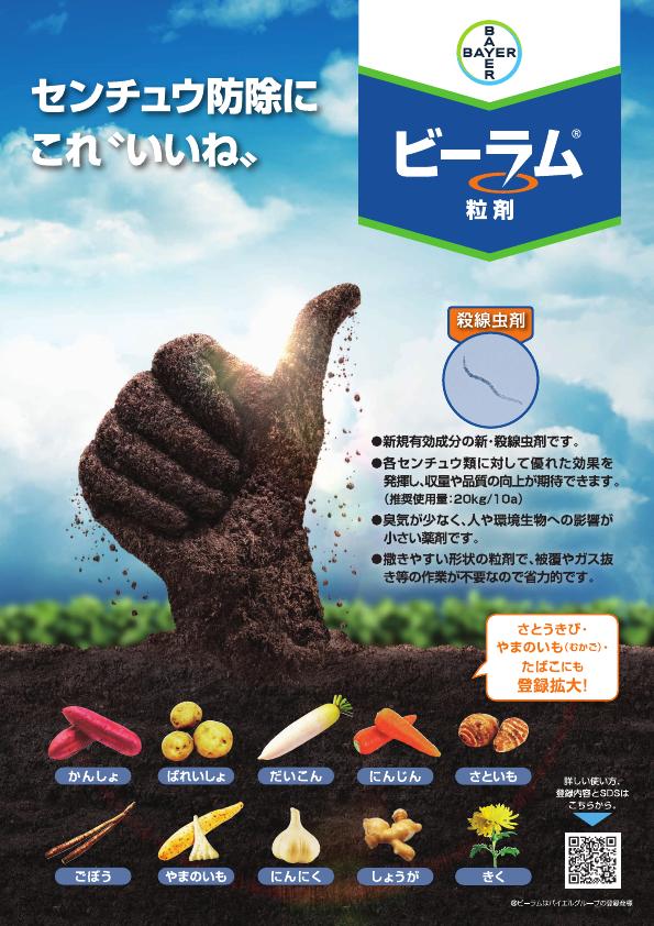 ビーラム粒剤総合版チラシ　2547（25-10）　