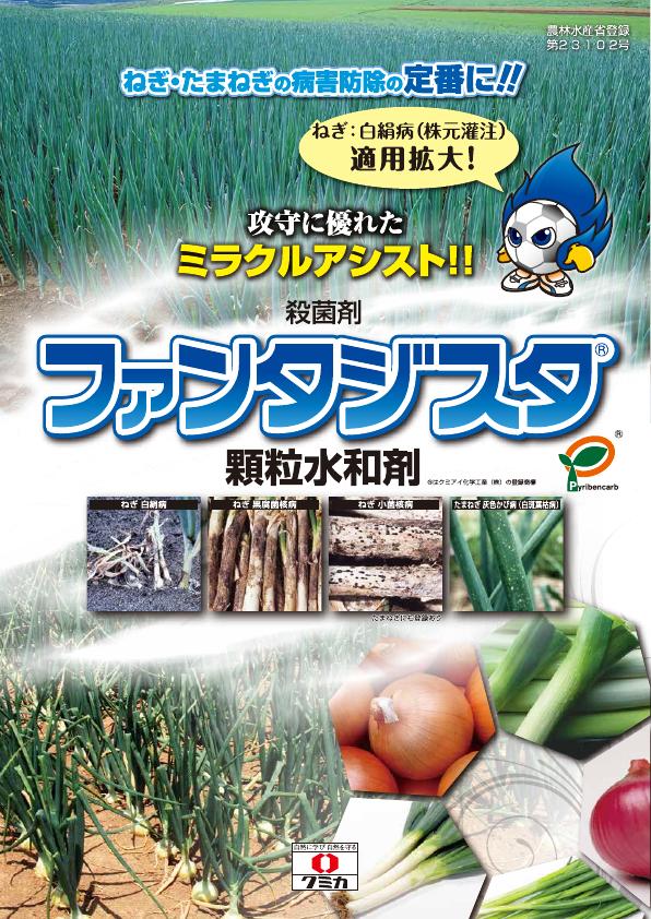 ファンタジスタ顆粒水和剤チラシたまねぎ・ねぎ版チラシ　2546（25-9）