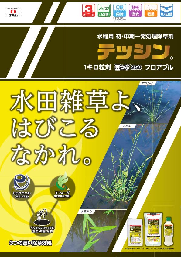 テッシン３製剤チラシ　2549（25-11）