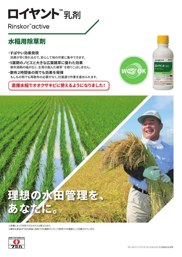 ロイヤント乳剤総合版チラシ　2545（25-9）