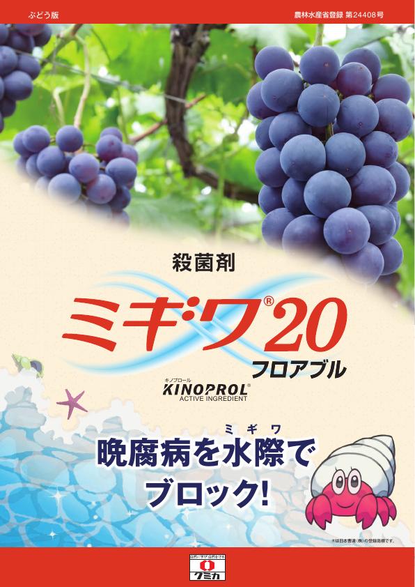 ミギワ20フロアブルぶどう版チラシ　2558（25-12）