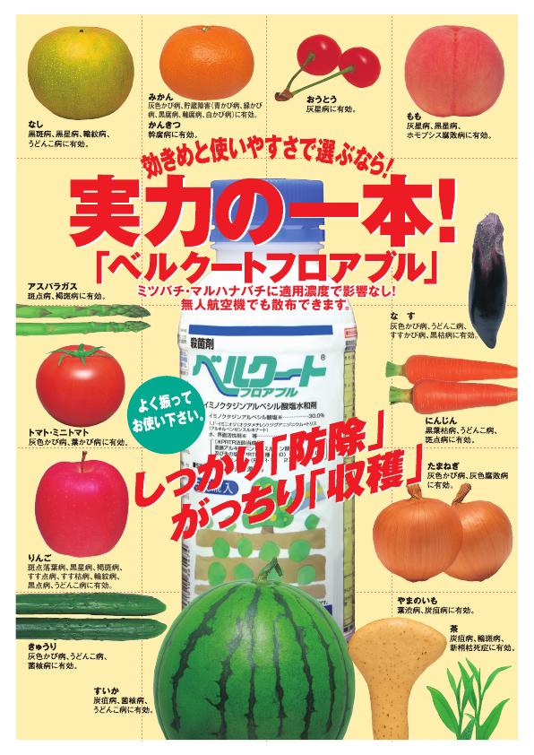 ベルクートフロアブル総合版チラシ　2566（26-1）