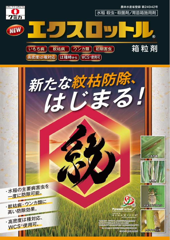 エクスロットル箱粒剤チラシ　2571（26-1）