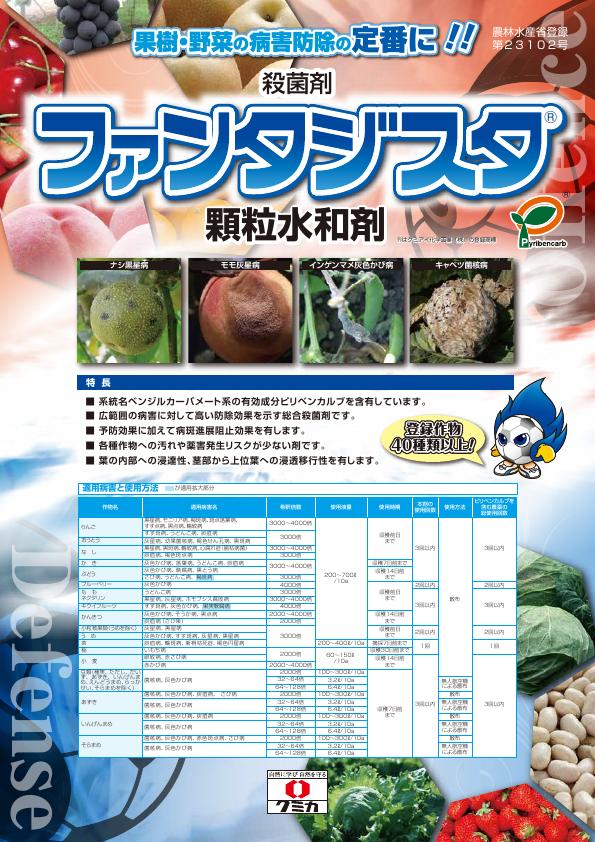 ファンタジスタ顆粒水和剤総合版チラシ　2582（26-1）