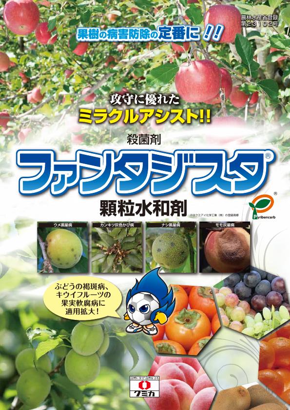 ファンタジスタ顆粒水和剤果樹版チラシ　2583（26-1）