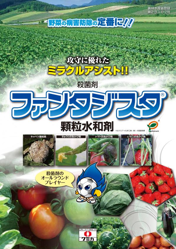ファンタジスタ顆粒水和剤野菜版チラシ　2584（26-1）