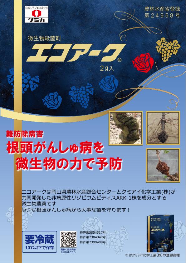 エコアークチラシ