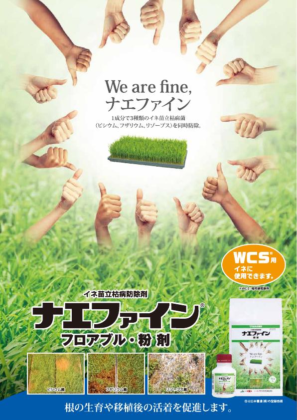 ナエファイン２製剤チラシ　2592（26-3）