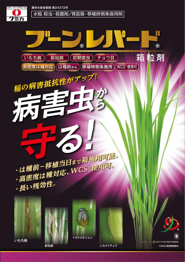 ブーンレパード箱粒剤チラシ　2586（26-2）