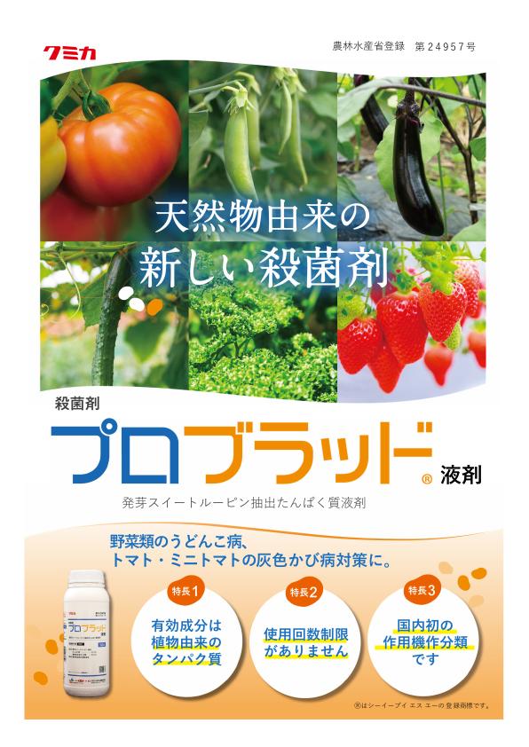 プロブラッドチラシ総合版