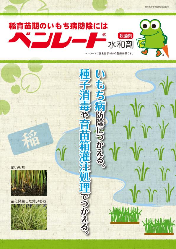 ベンレート水和剤水稲版チラシ　2527（25-6）