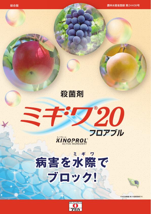 ミギワ20フロアブル総合版チラシ　2598（26-7）