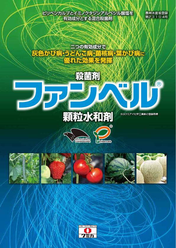 ファンベル顆粒水和剤チラシ　2606（26-7）
