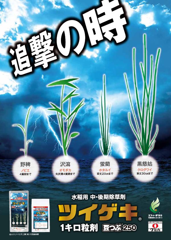 ツイゲキ２製剤総合版チラシ　2534（25-7）