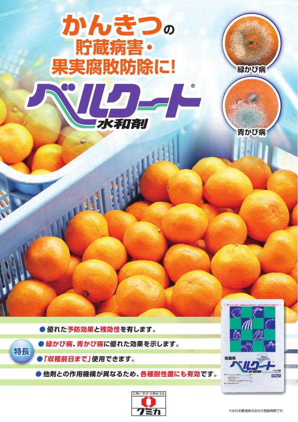 べルクート水和剤-かんきつ版_2563(26-1)WEB版