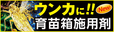 ピラキサルト剤特設サイトはこちら