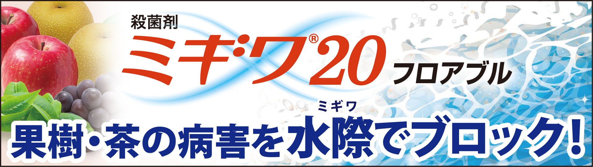 ミギワ２０特設サイトはこちら