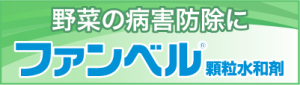 ファンベルⓇ特設サイトはこちら