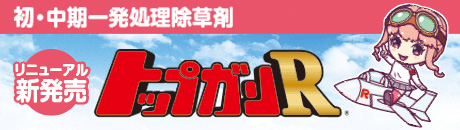 トップガンRⓇ特設サイトはこちら