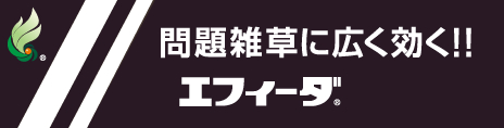 エフィーダⓇ特設サイトはこちら