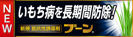 ブーンⓇ特設サイトはこちら