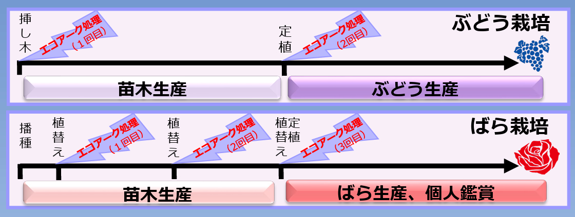 エコアーク上手な使い方