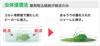 虫体浸漬法 薬剤取込経路が経皮のみ