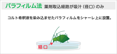 パラフィルム法 薬剤取込経路が吸汁（径口）のみ