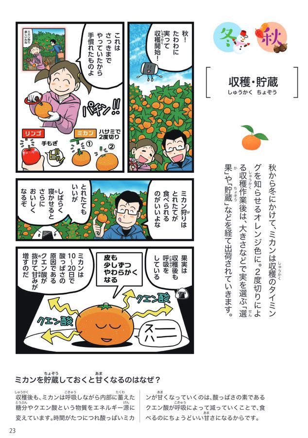 リンゴとミカンをまもるはなし