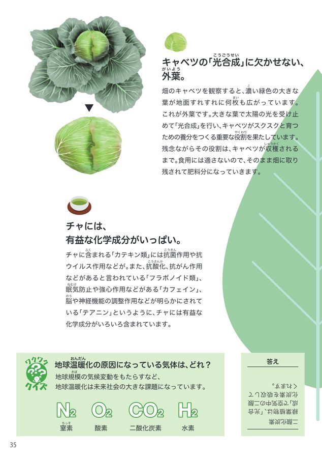 キャベツとチャをまもるはなし電子ブック